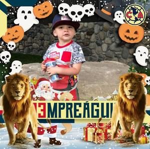 Meet your Posher, Alonso